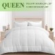 White Comforter Queen: 2 Pillows Shams