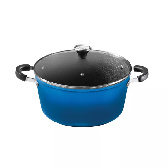 STOCK POT WITH LID (BLUE)